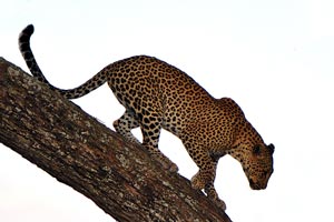 img01