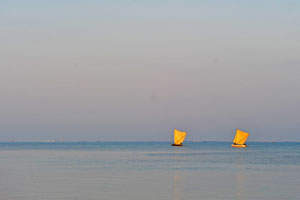 img02